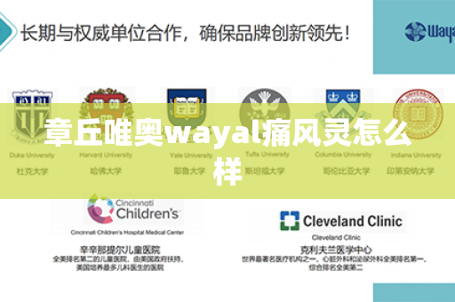 章丘唯奥wayal痛风灵怎么样第1张-Wayal唯奥公司