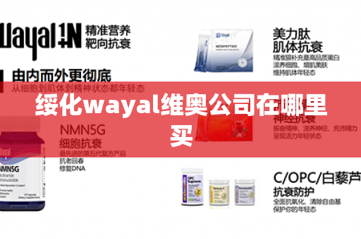 绥化wayal维奥公司在哪里买