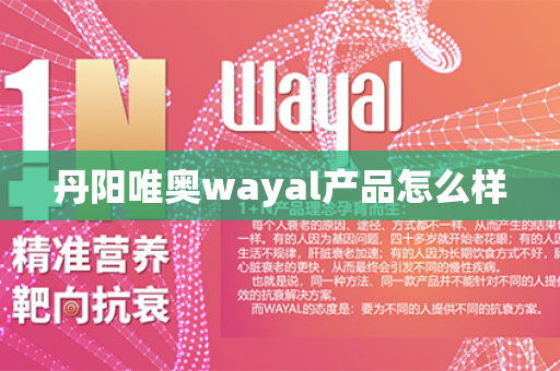 丹阳唯奥wayal产品怎么样