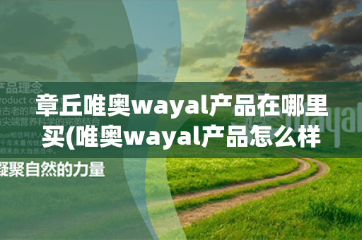 章丘唯奥wayal产品在哪里买(唯奥wayal产品怎么样)第1张-Wayal唯奥公司