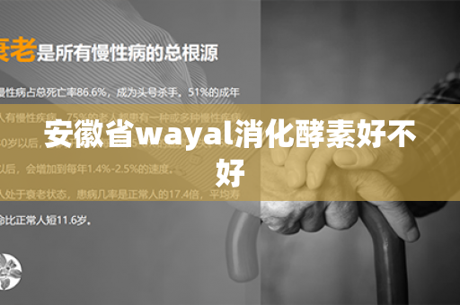 安徽省wayal消化酵素好不好第1张-Wayal唯奥公司