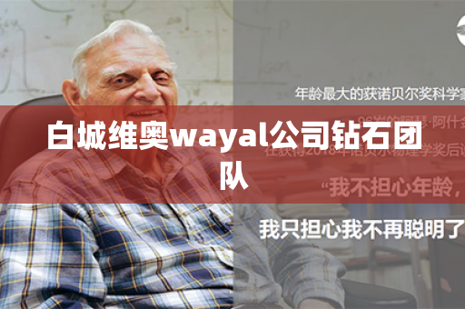 白城维奥wayal公司钻石团队第1张-Wayal唯奥公司