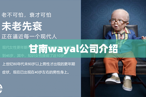 甘南wayal公司介绍第1张-Wayal唯奥公司