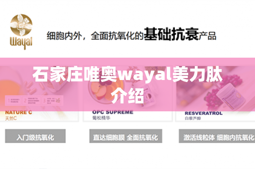 石家庄唯奥wayal美力肽介绍第1张-Wayal唯奥公司