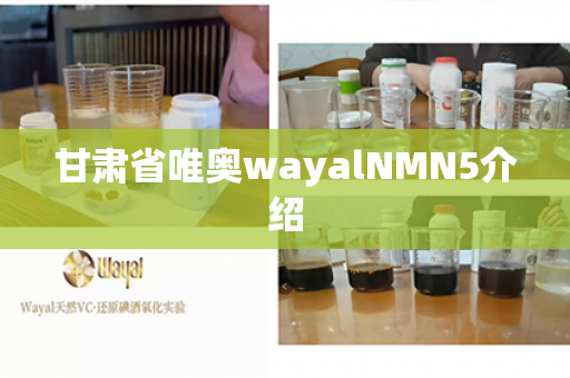 甘肃省唯奥wayalNMN5介绍第1张-Wayal唯奥公司