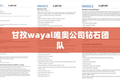 甘孜wayal唯奥公司钻石团队