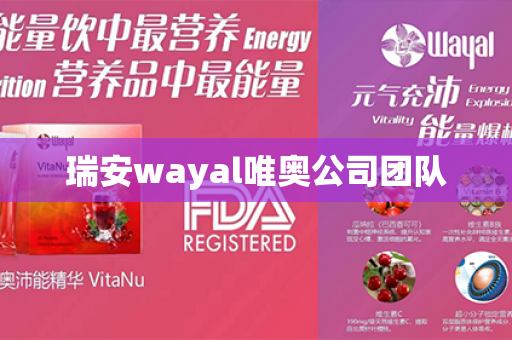 瑞安wayal唯奥公司团队第1张-Wayal唯奥公司