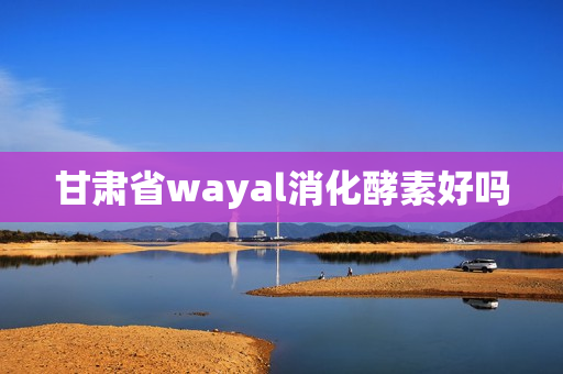 甘肃省wayal消化酵素好吗