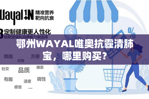 鄂州WAYAL唯奥抗霾清肺宝，哪里购买？