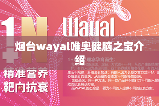 烟台wayal唯奥健脑之宝介绍第1张-Wayal唯奥公司