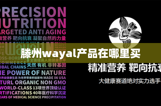 滕州wayal产品在哪里买第1张-Wayal唯奥公司