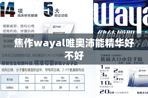 焦作wayal唯奥沛能精华好不好