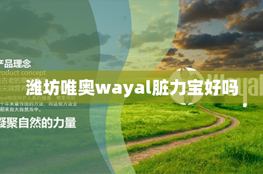 潍坊唯奥wayal脏力宝好吗第1张-Wayal唯奥公司