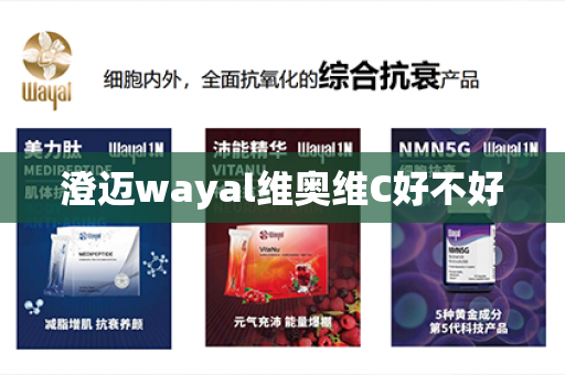 澄迈wayal维奥维C好不好