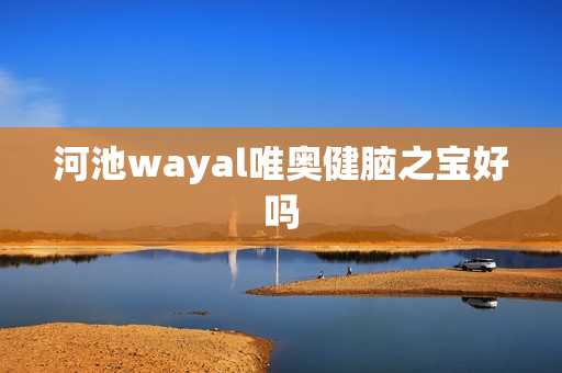 河池wayal唯奥健脑之宝好吗