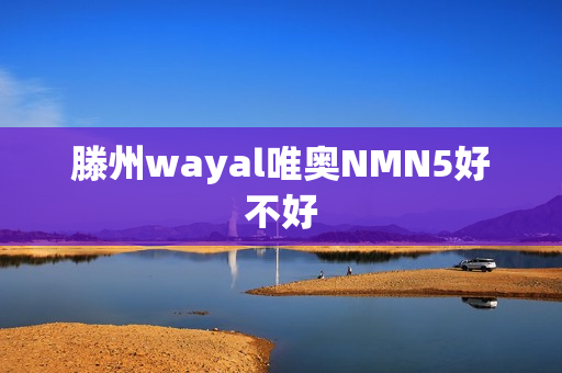 滕州wayal唯奥NMN5好不好