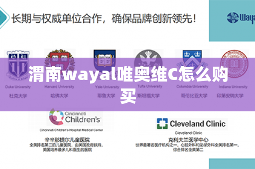 渭南wayal唯奥维C怎么购买第1张-Wayal唯奥公司