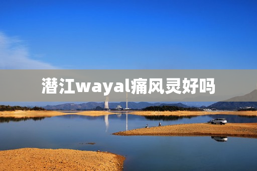 潜江wayal痛风灵好吗