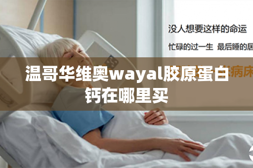 温哥华维奥wayal胶原蛋白钙在哪里买第1张-Wayal唯奥公司