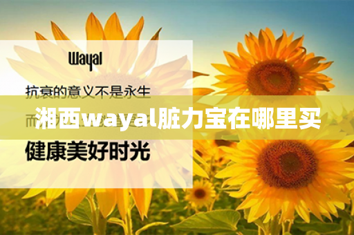 湘西wayal脏力宝在哪里买