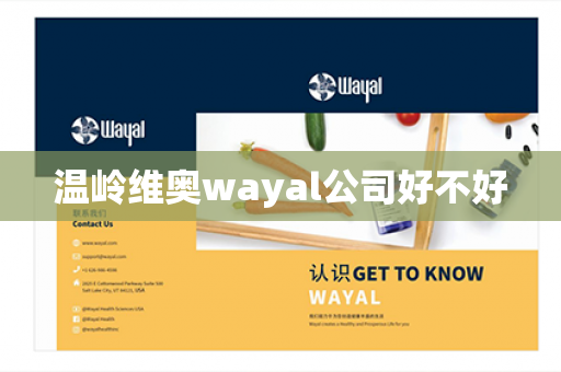 温岭维奥wayal公司好不好