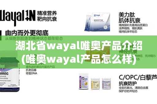 湖北省wayal唯奥产品介绍(唯奥wayal产品怎么样)第1张-Wayal唯奥公司