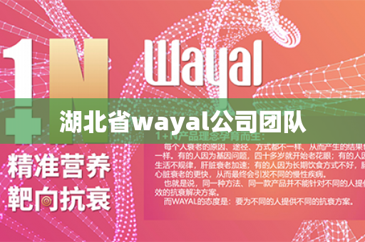 湖北省wayal公司团队第1张-Wayal唯奥公司