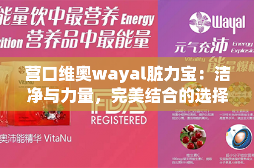 营口维奥wayal脏力宝：洁净与力量，完美结合的选择