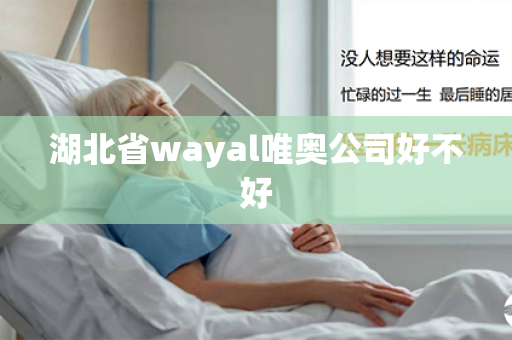 湖北省wayal唯奥公司好不好第1张-Wayal唯奥公司