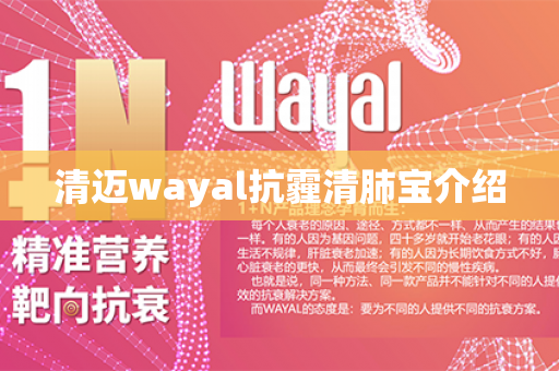 清迈wayal抗霾清肺宝介绍