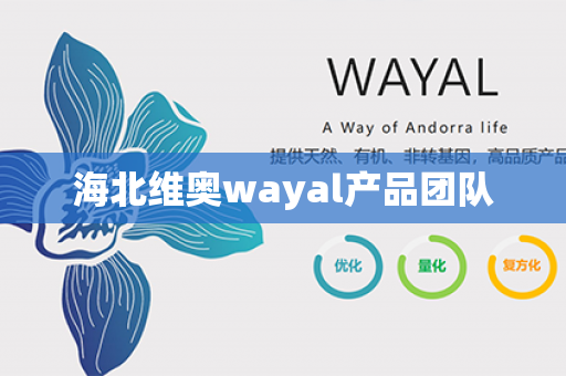 海北维奥wayal产品团队第1张-Wayal唯奥公司