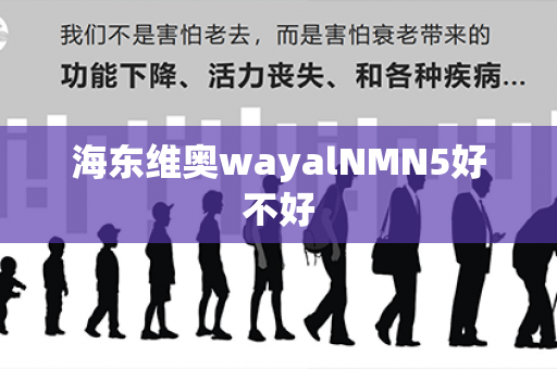 海东维奥wayalNMN5好不好