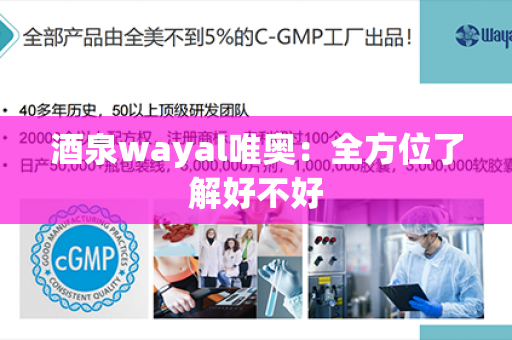 酒泉wayal唯奥：全方位了解好不好