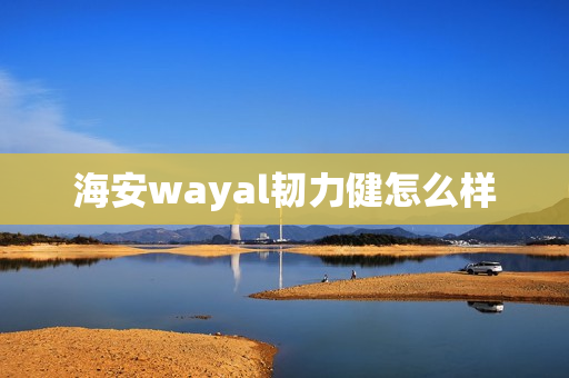 海安wayal韧力健怎么样