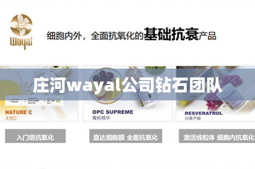 庄河wayal公司钻石团队