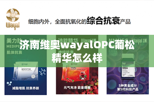 济南维奥wayalOPC葡松精华怎么样第1张-Wayal唯奥公司