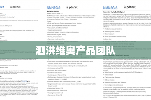 泗洪维奥产品团队