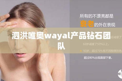 泗洪唯奥wayal产品钻石团队第1张-Wayal唯奥公司