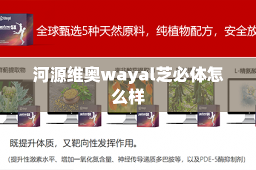 河源维奥wayal芝必体怎么样