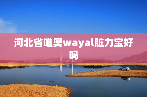 河北省唯奥wayal脏力宝好吗第1张-Wayal唯奥公司