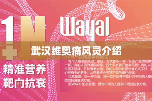 武汉维奥痛风灵介绍第1张-Wayal唯奥公司