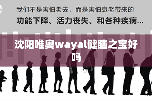 沈阳唯奥wayal健脑之宝好吗