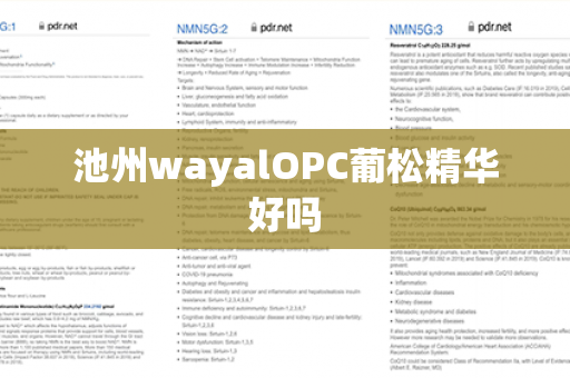 池州wayalOPC葡松精华好吗第1张-Wayal唯奥公司