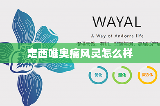 定西唯奥痛风灵怎么样第1张-Wayal唯奥公司