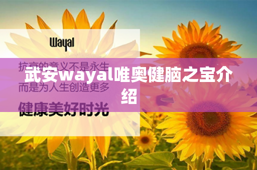 武安wayal唯奥健脑之宝介绍第1张-Wayal唯奥公司