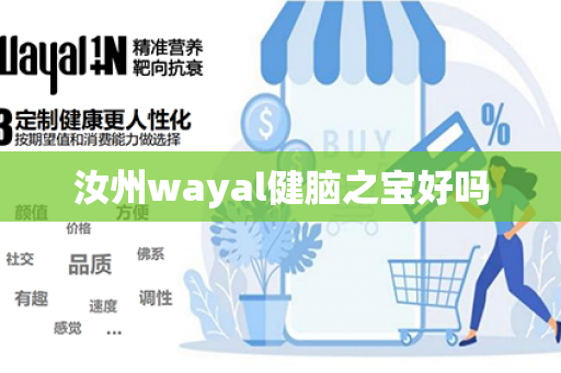 汝州wayal健脑之宝好吗第1张-Wayal唯奥公司