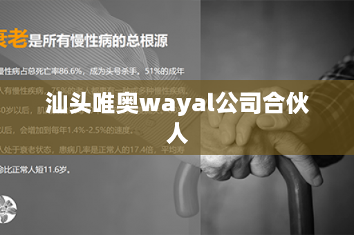 汕头唯奥wayal公司合伙人第1张-Wayal唯奥公司