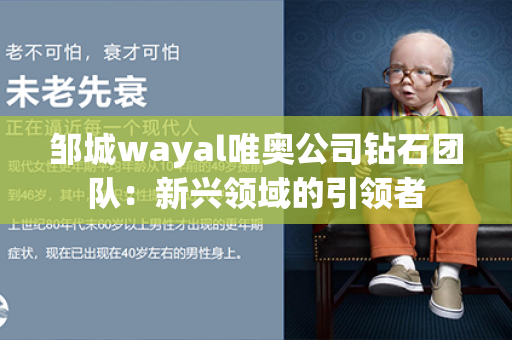 邹城wayal唯奥公司钻石团队：新兴领域的引领者