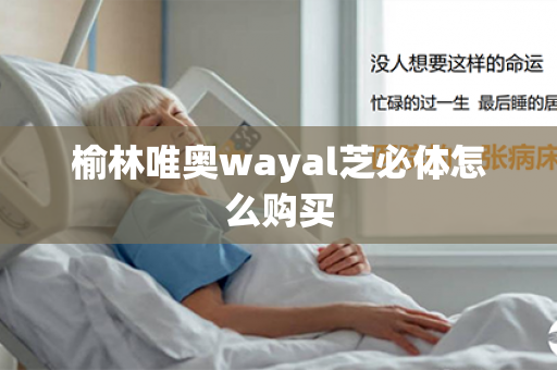 榆林唯奥wayal芝必体怎么购买