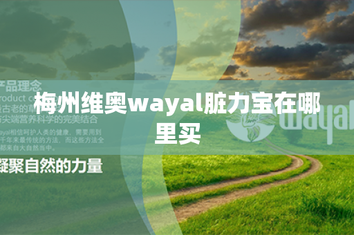 梅州维奥wayal脏力宝在哪里买